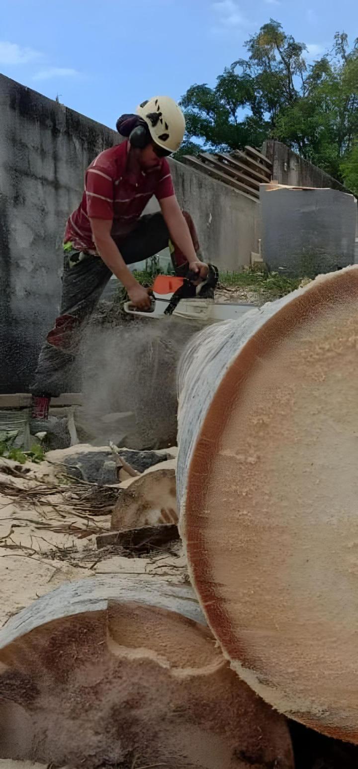 abattage La Réunion