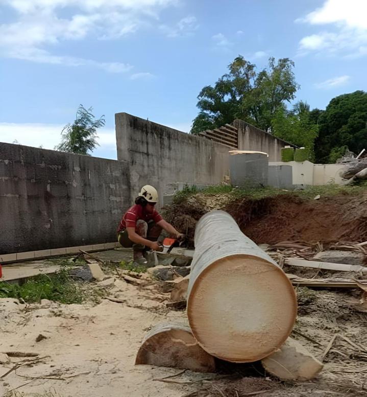 Entretien de jardin La Réunion