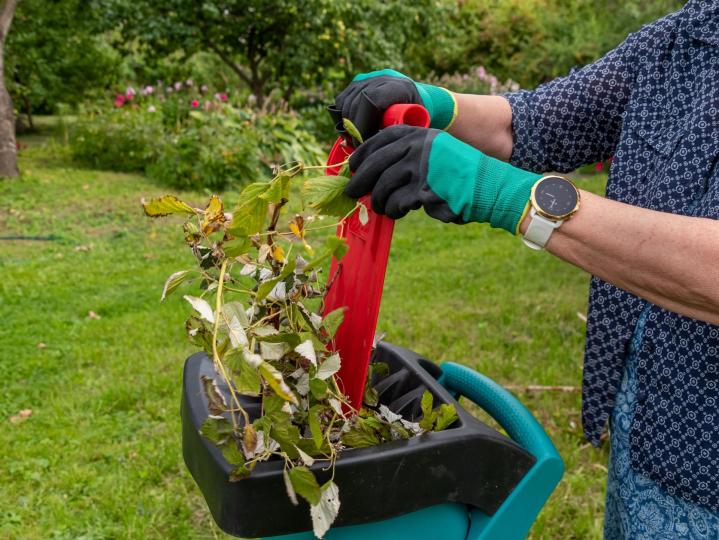 Élimination de déchets verts La Réunion