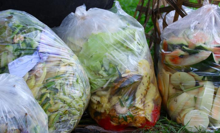 Évacuation de déchets verts La Réunion